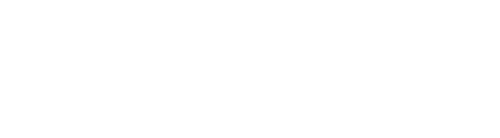 Allflex logo