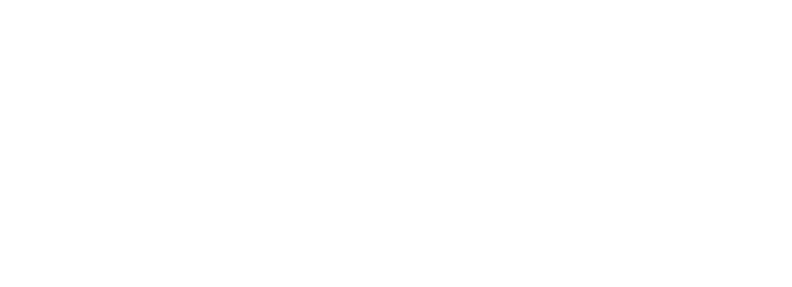 Domus logo