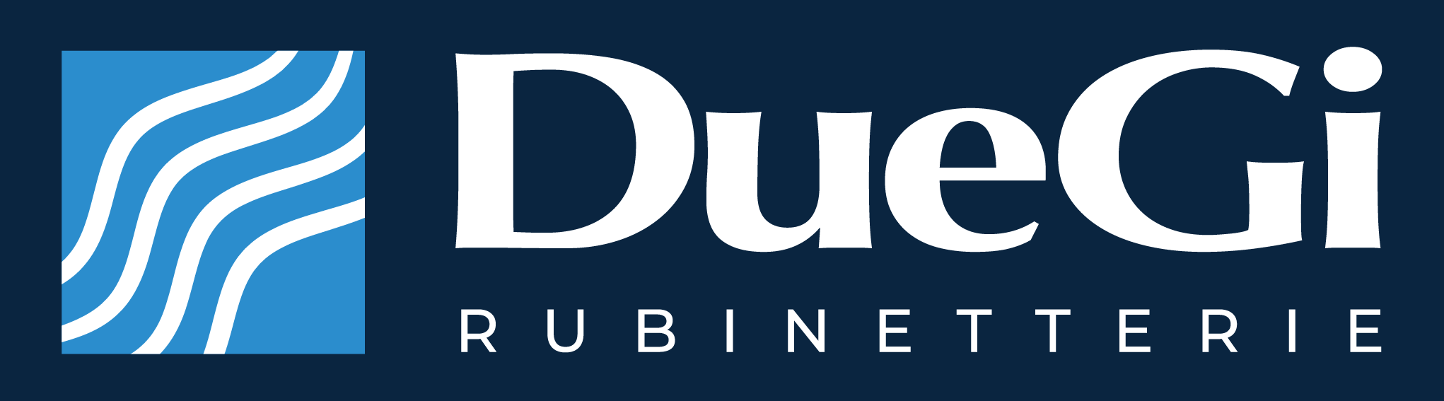 DueGi new logo lockup