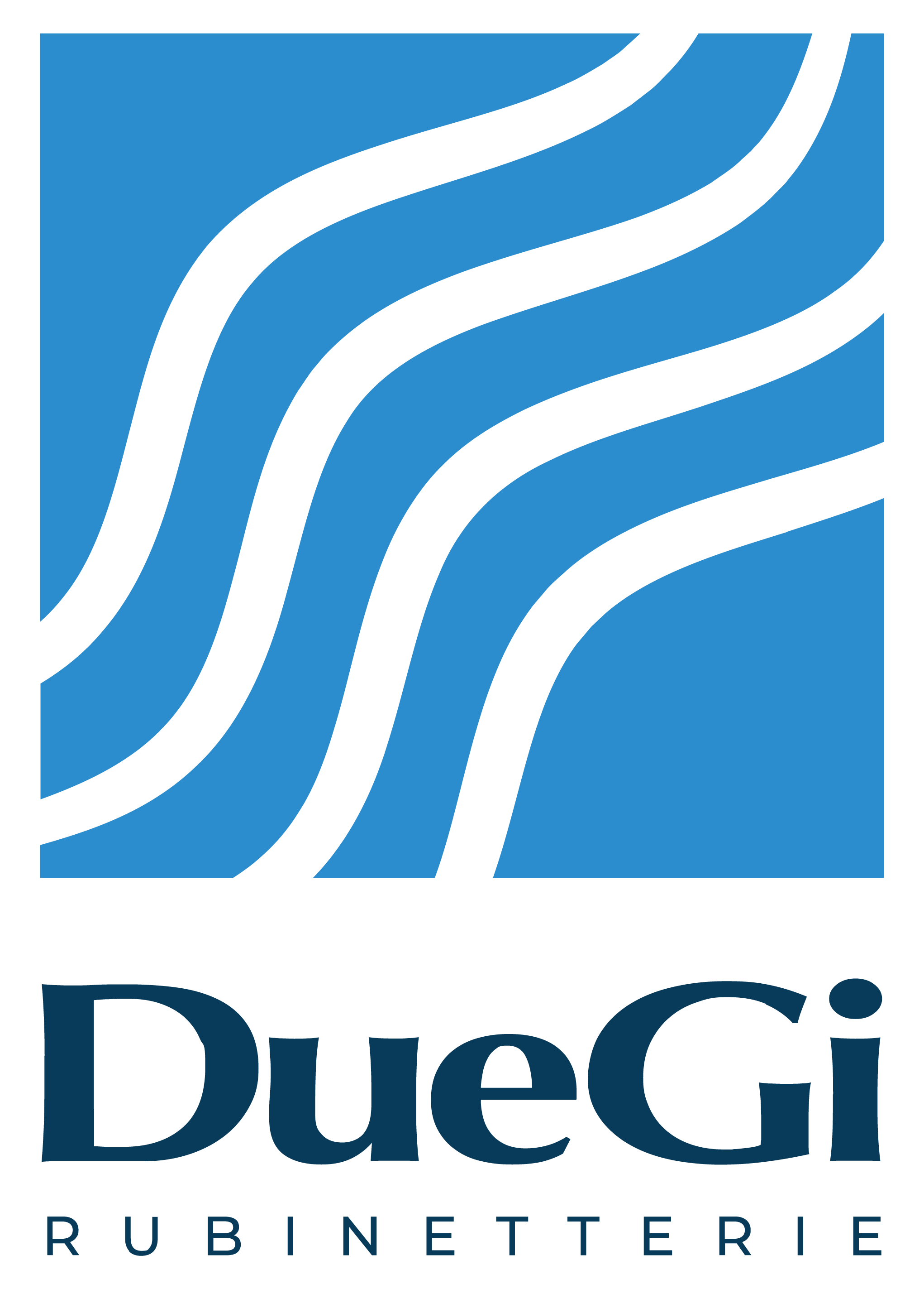 DueGi stacked logo
